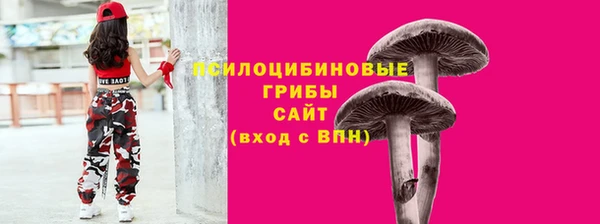 a pvp Новокубанск