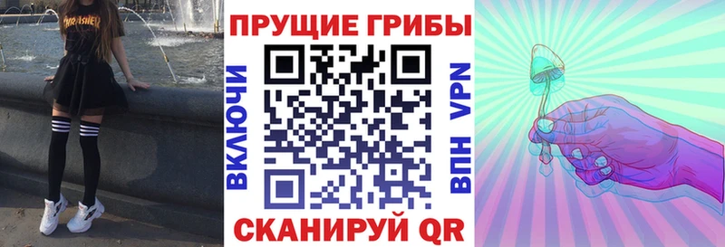 Галлюциногенные грибы Psilocybe Купить закладки Усолье